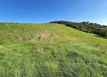 WhatsApp Image 2024-11-12 at 17.11.45.jpeg - Rustic Fiano Romano - photo 13