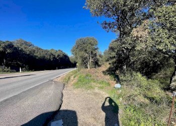 Terreno agricolo Telti - foto 8