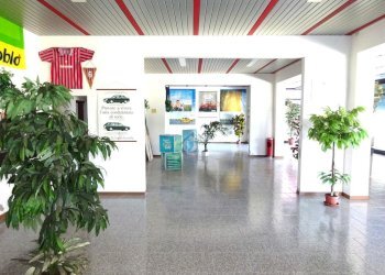 Negozio Negozio Via Ariosto, Masi Torello - foto 2