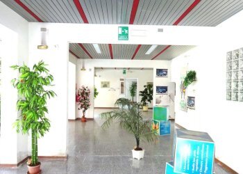 Negozio Negozio Via Ariosto, Masi Torello - foto 4