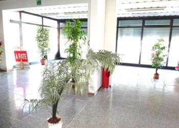 Negozio Negozio Via Ariosto, Masi Torello - foto 5