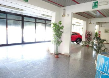 Negozio Negozio Via Ariosto, Masi Torello - foto 6