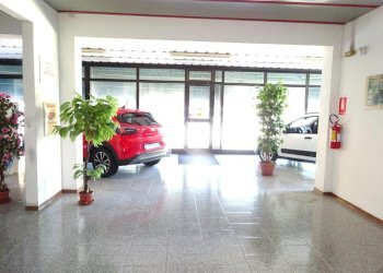 Negozio Negozio Via Ariosto, Masi Torello - foto 1