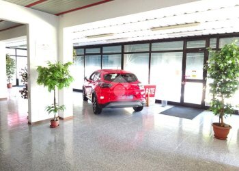 Negozio Negozio Via Ariosto, Masi Torello - foto 7