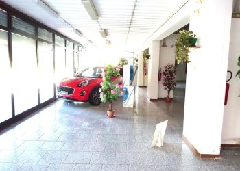 Negozio Negozio Via Ariosto, Masi Torello - foto 10