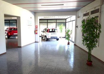 Negozio Negozio Via Ariosto, Masi Torello - foto 14