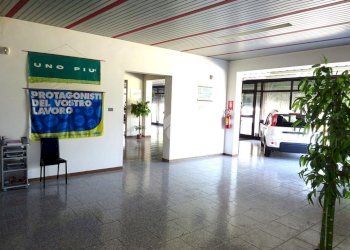 Negozio Negozio Via Ariosto, Masi Torello - foto 15