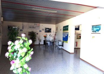 Negozio Negozio Via Ariosto, Masi Torello - foto 17