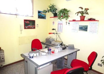 Negozio Negozio Via Ariosto, Masi Torello - foto 23