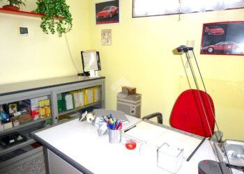 Negozio Negozio Via Ariosto, Masi Torello - foto 24