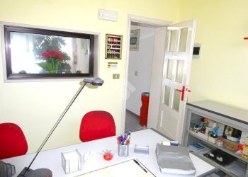 Negozio Negozio Via Ariosto, Masi Torello - foto 25