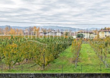 Apartment Vignola - photo 2
