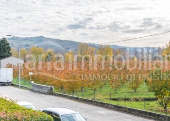 Apartment Vignola - photo 3