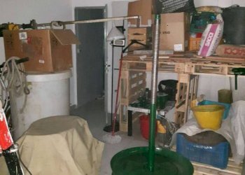 Dettagli - Negozio via EGISTO FERRONI, Signa - foto 11