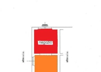 Dettagli - Negozio via EGISTO FERRONI, Signa - foto 22