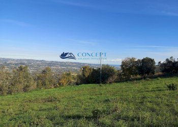 Semi-detached Villa via Torretta, Controguerra - photo 15