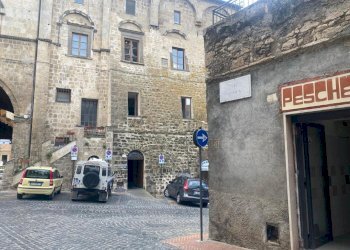 IMG-20241023-WA0011.jpg - Non Alimentare Via Antica 6, Tarquinia - foto 2