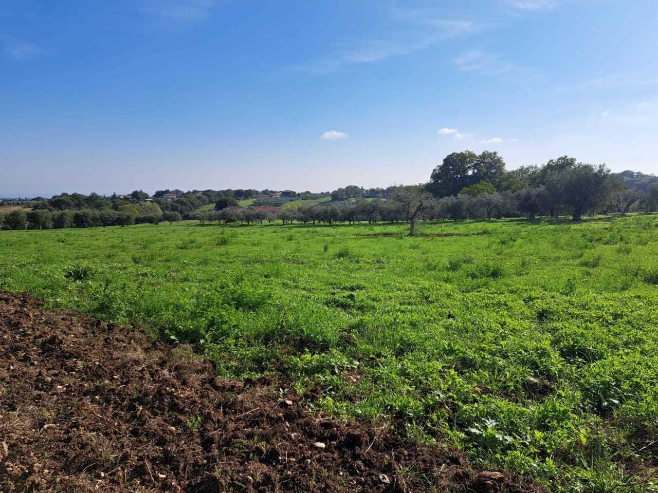 7334d5fa-89f4-45b7-9987-f83071f00836.jpg - Terreno edificabile Via Follani 107, Lanciano - foto 3