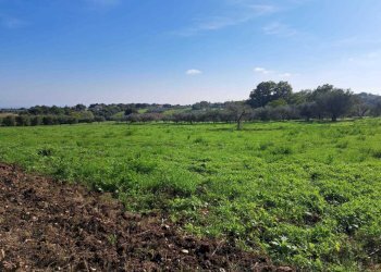 7334d5fa-89f4-45b7-9987-f83071f00836.jpg - Terreno edificabile Via Follani 107, Lanciano - foto 3