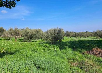 6883297d-bb85-4671-88c4-17e0d241cba8.jpg - Terreno edificabile Via Follani 107, Lanciano - foto 6