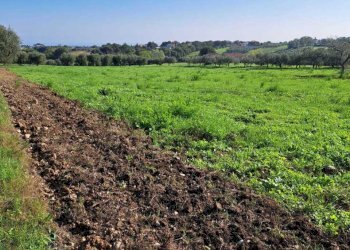 ef996bd2-00c1-4c60-adab-af5bced137a3.jpg - Terreno edificabile Via Follani 107, Lanciano - foto 8