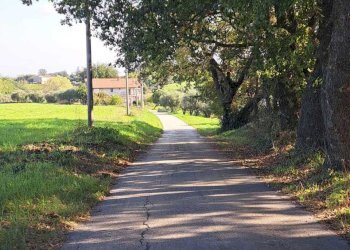 389a5adc-749b-4051-a726-cafcac9c36cf.jpg - Terreno edificabile Via Follani 107, Lanciano - foto 9