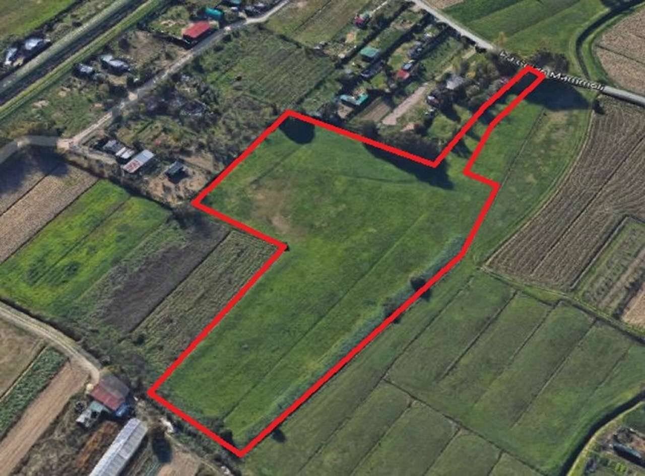 2 - Terreno agricolo via MAMMOLI, Campi Bisenzio - foto 2