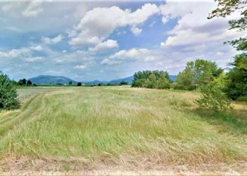 1 - Terreno agricolo via MAMMOLI, Campi Bisenzio - foto 1
