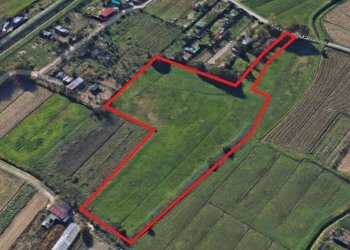 2 - Terreno agricolo via MAMMOLI, Campi Bisenzio - foto 2