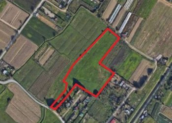 4 - Terreno agricolo via MAMMOLI, Campi Bisenzio - foto 4