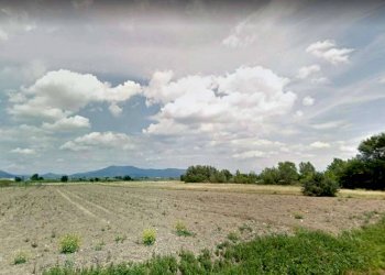 8 - Terreno agricolo via MAMMOLI, Campi Bisenzio - foto 8