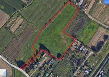 10 - Terreno agricolo via MAMMOLI, Campi Bisenzio - foto 10