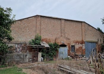 Rustic Masi Torello - photo 15