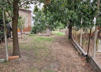 Rustic Masi Torello - photo 16