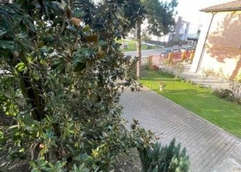 Single Family Villa Occhiobello - photo 37
