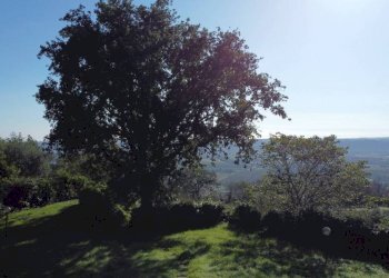 Vista - Villa strada Nazionale Flaminia, Fano - foto 2