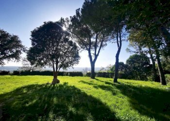 Terreno - Villa strada Nazionale Flaminia, Fano - foto 38