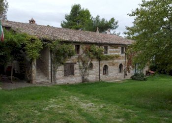 Terreno - Rustico Frazione Montesecco, Pergola - foto 11