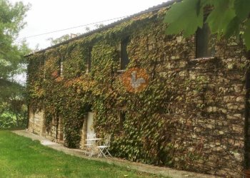 Facciata - Rustico Frazione Montesecco, Pergola - foto 32
