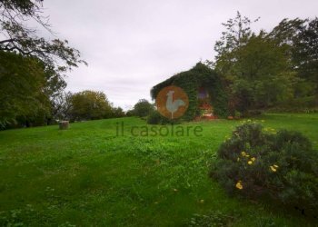 Terreno - Rustico Frazione Montesecco, Pergola - foto 39