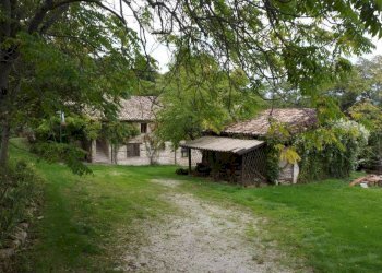 Terreno - Rustico Frazione Montesecco, Pergola - foto 9