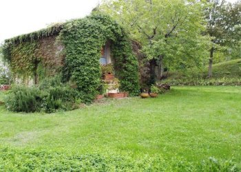 Giardino - Rustico Frazione Montesecco, Pergola - foto 28