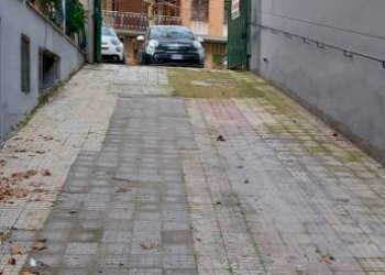 Zona - Shop Circonvallazione Appia, 107, Roma - photo 16