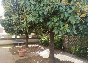 Giardino - Trilocale via Piave, 22, Trecate - foto 19