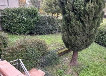Giardino - Independent house Monte Grimano Terme - photo 18