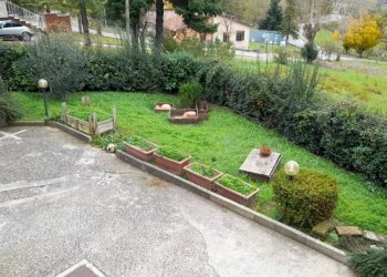 Giardino - Casa indipendente Monte Grimano Terme - foto 32