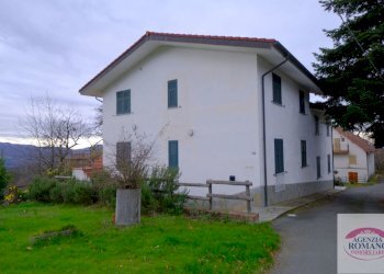 01(Copy89).jpg - Villa Regione Montaldo 117, Ponzone - foto 13