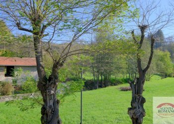 Rif 1561 (46).jpg - Villa Piazza Anselmi 3, Giusvalla - foto 10