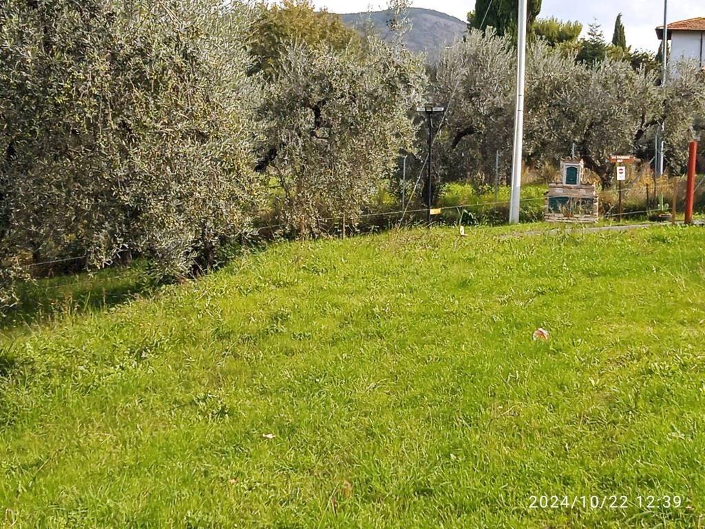 Terreno - Terreno agricolo via Farense, 254, Fara in Sabina - foto 2