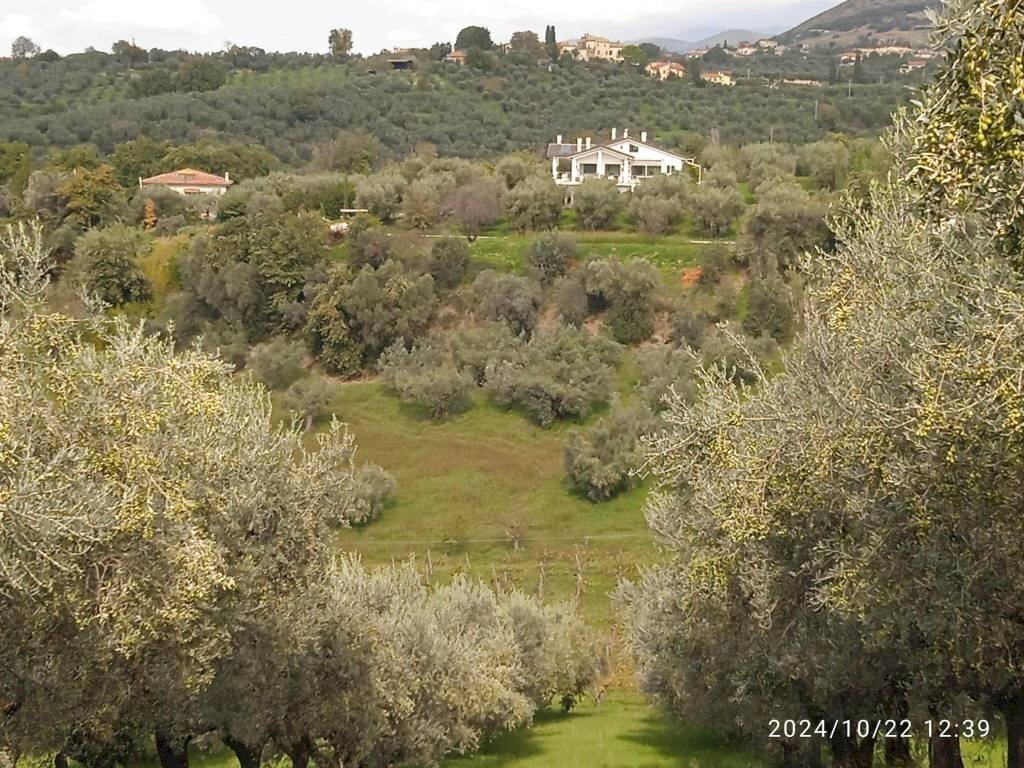 Vista - Terreno agricolo via Farense, 254, Fara in Sabina - foto 3